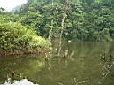 2005-07-18 002.JPG